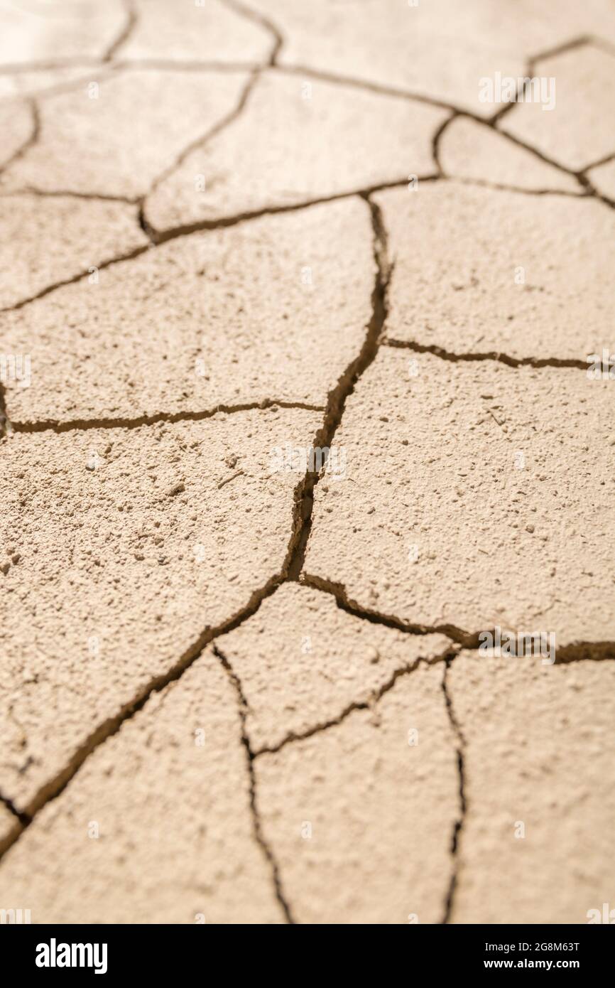 Terreno secco cracked sparato vicino. Per i cambiamenti climatici, la siccità nel Regno Unito, la terra arata, le perdite di raccolto, l'onda di calore europea o statunitense, la calda stagione estiva, il cedimento. Foto Stock