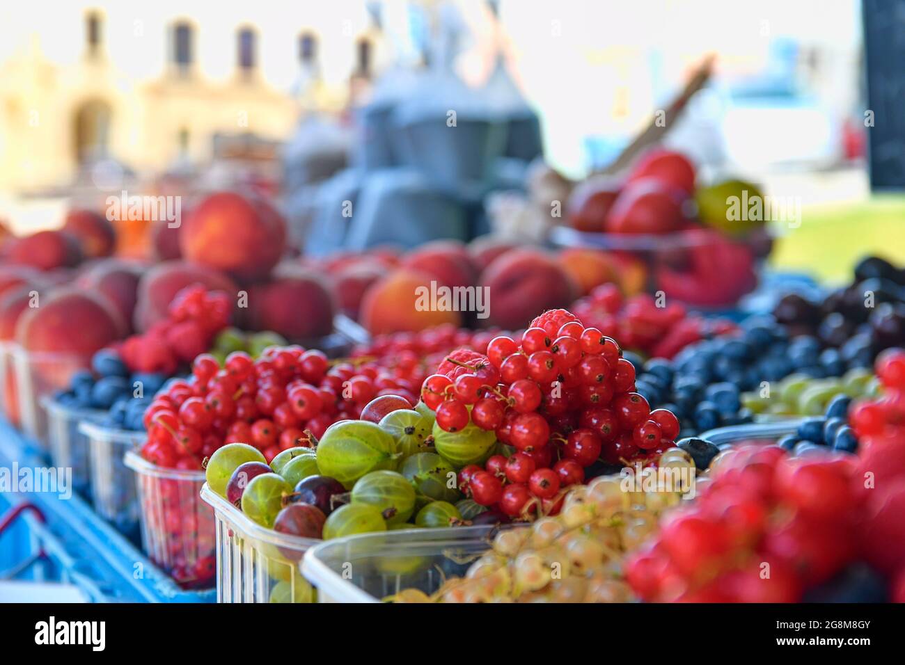 Ribes, lamponi, frutti di bosco, frutti di bosco e altri frutti e ortaggi in vendita presso il mercato agricolo locale. Prodotti biologici freschi in vendita a. Foto Stock