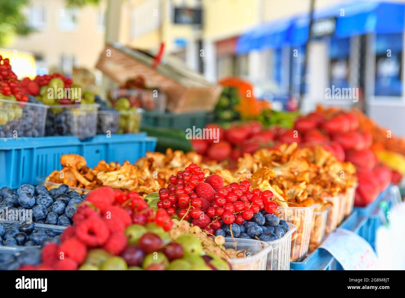Ribes rosso, lamponi, frutti di bosco, mirtilli e altri frutti e ortaggi in vendita presso il mercato agricolo locale. Vendita di prodotti biologici freschi Foto Stock