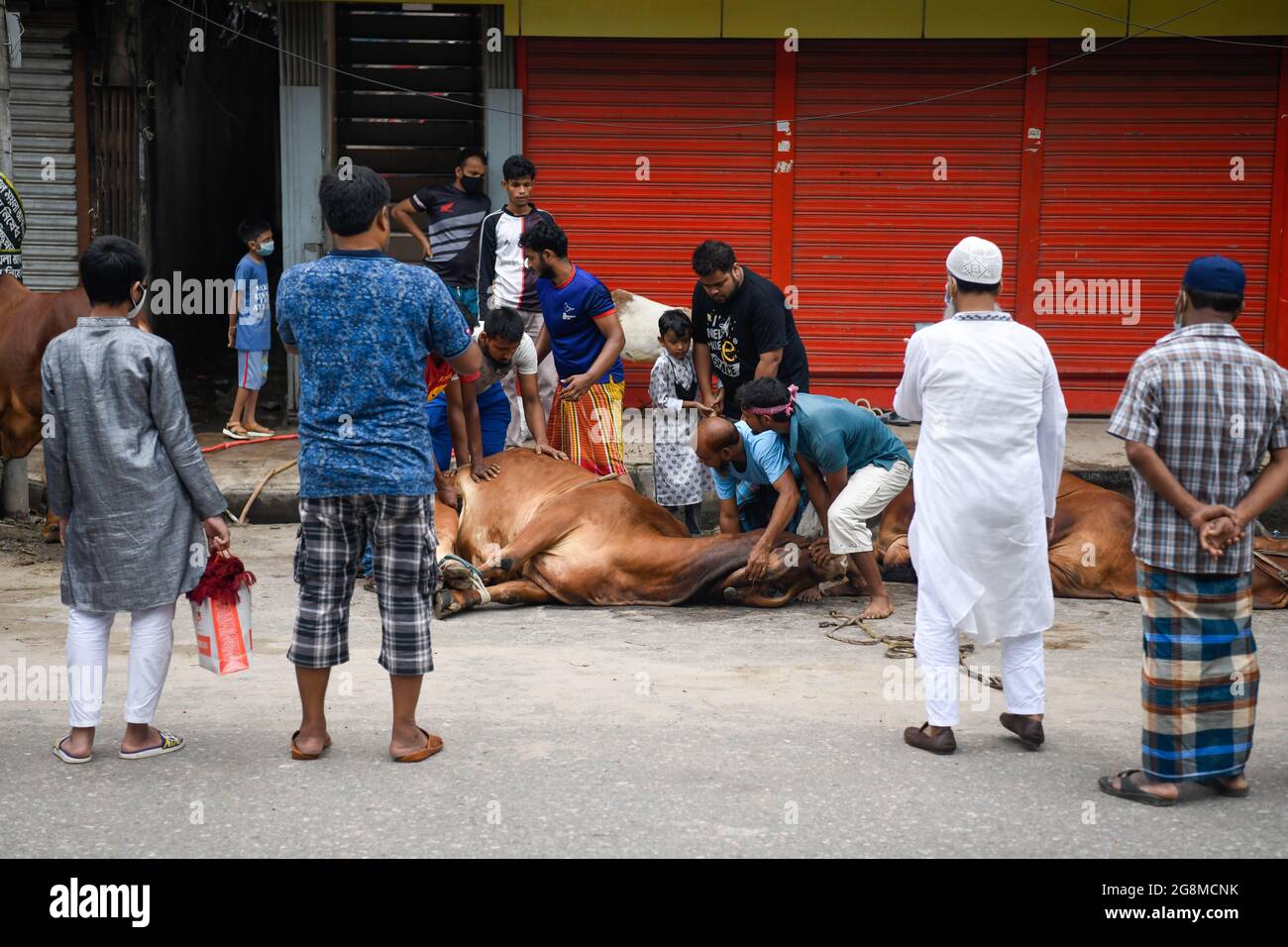 Dhaka, Bangladesh. 21 luglio 2021. I musulmani si preparano a massacrare un animale sacrificale durante il festival musulmano Eid al-Adha o il 'Festival del sacrificio a Dacca. (Foto di Piyas Biswas/SOPA Images/Sipa USA) Credit: Sipa USA/Alamy Live News Foto Stock