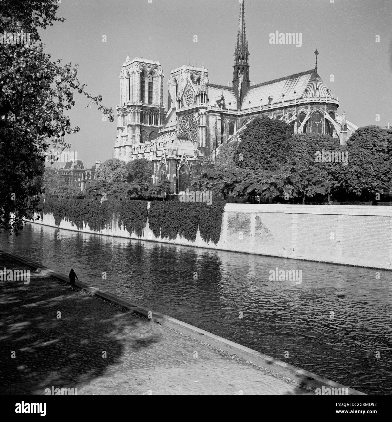 Anni '50, storico, Notre-dame Catherdral, Parigi, Francia. Una chiesa cattolica medievale sull'IIe de la Cite nel 4 ° arrondissement di Parigi, è considerato uno dei migliori esempi di architettura gotica francese. Foto Stock