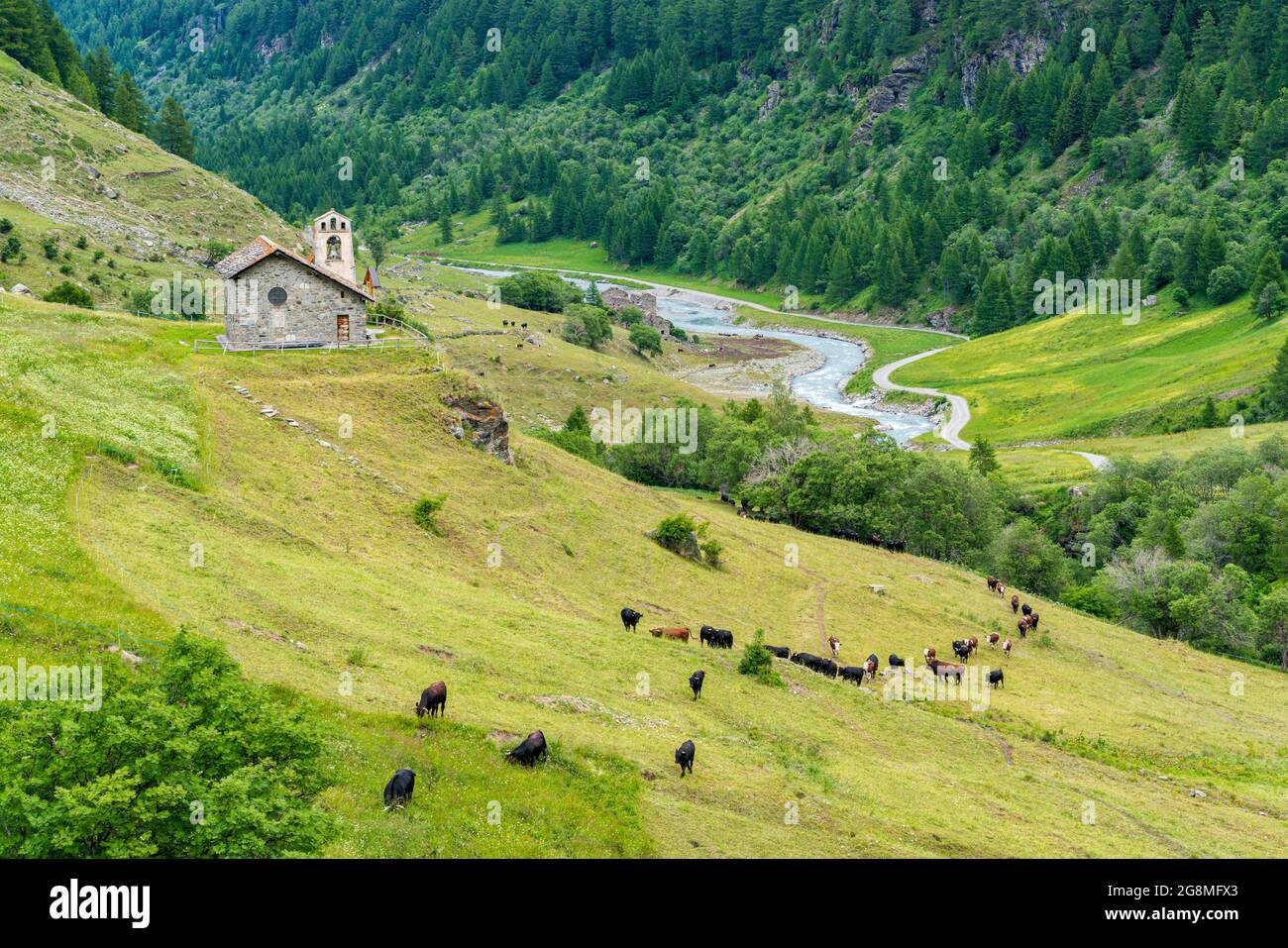 Idilliaca vista estiva mattutina nella bellissima Valgrisenche, Valle d'Aosta, Italia settentrionale. Foto Stock
