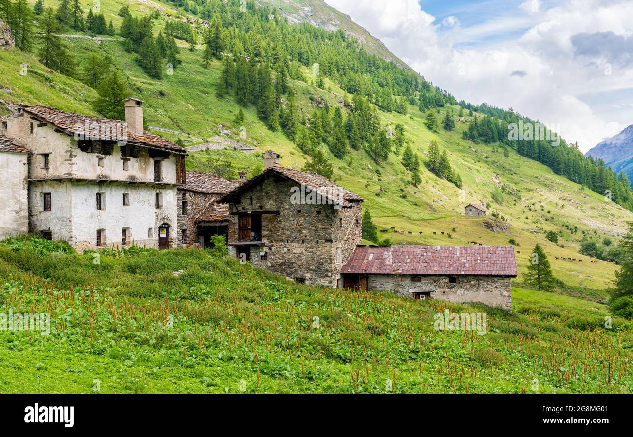 Idilliaca vista estiva mattutina nella bellissima Valgrisenche, Valle d'Aosta, Italia settentrionale. Foto Stock