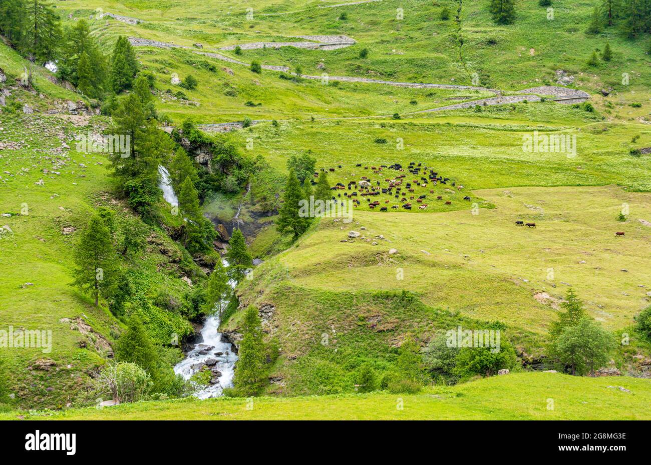 Idilliaca vista estiva mattutina nella bellissima Valgrisenche, Valle d'Aosta, Italia settentrionale. Foto Stock