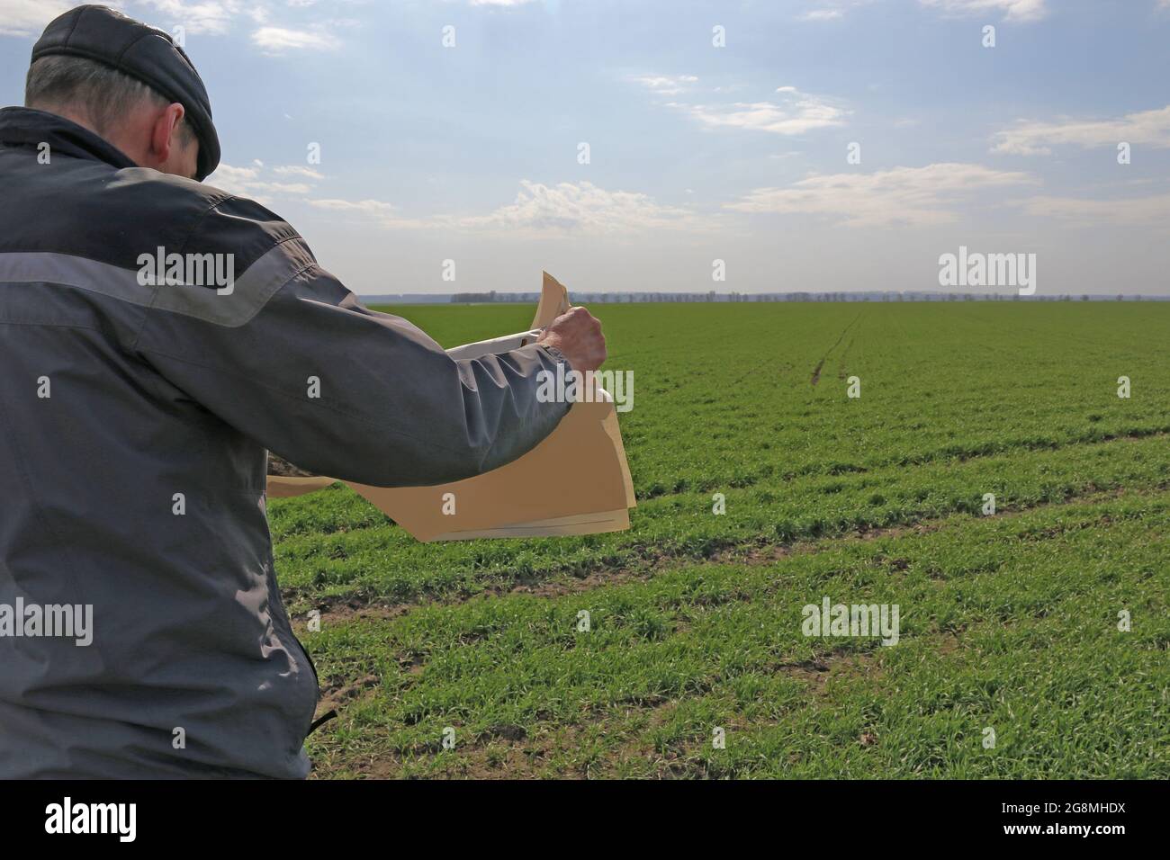 Un coltivatore si trova su un campo di grano. L'agricoltore sta leggendo un giornale. Foto Stock