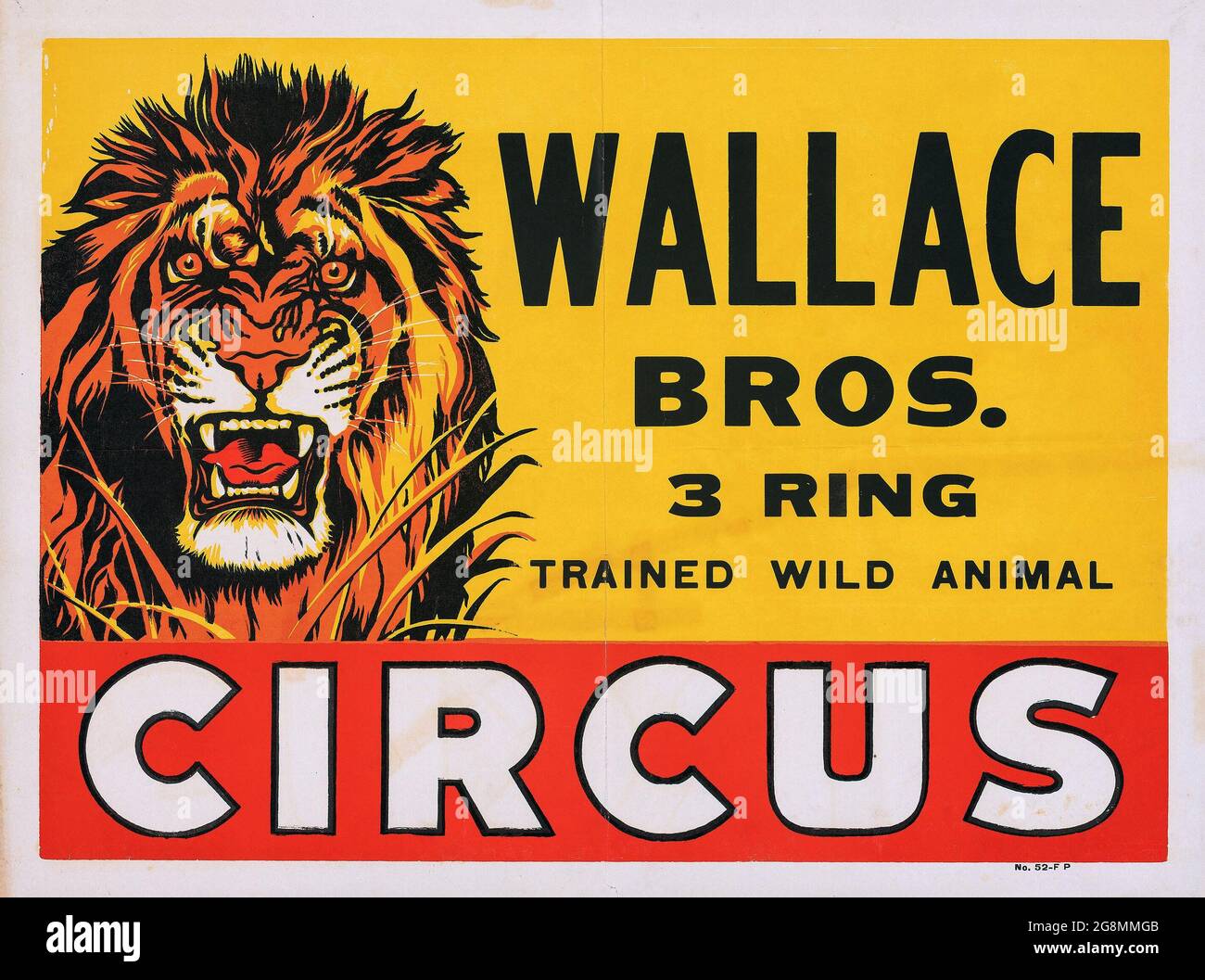 Wallace Brothers Circus Poster (1950). 3 anello, Circo animale selvaggio addestrato. Poster del Circus d'epoca. Un leone potente ruggisce. Foto Stock