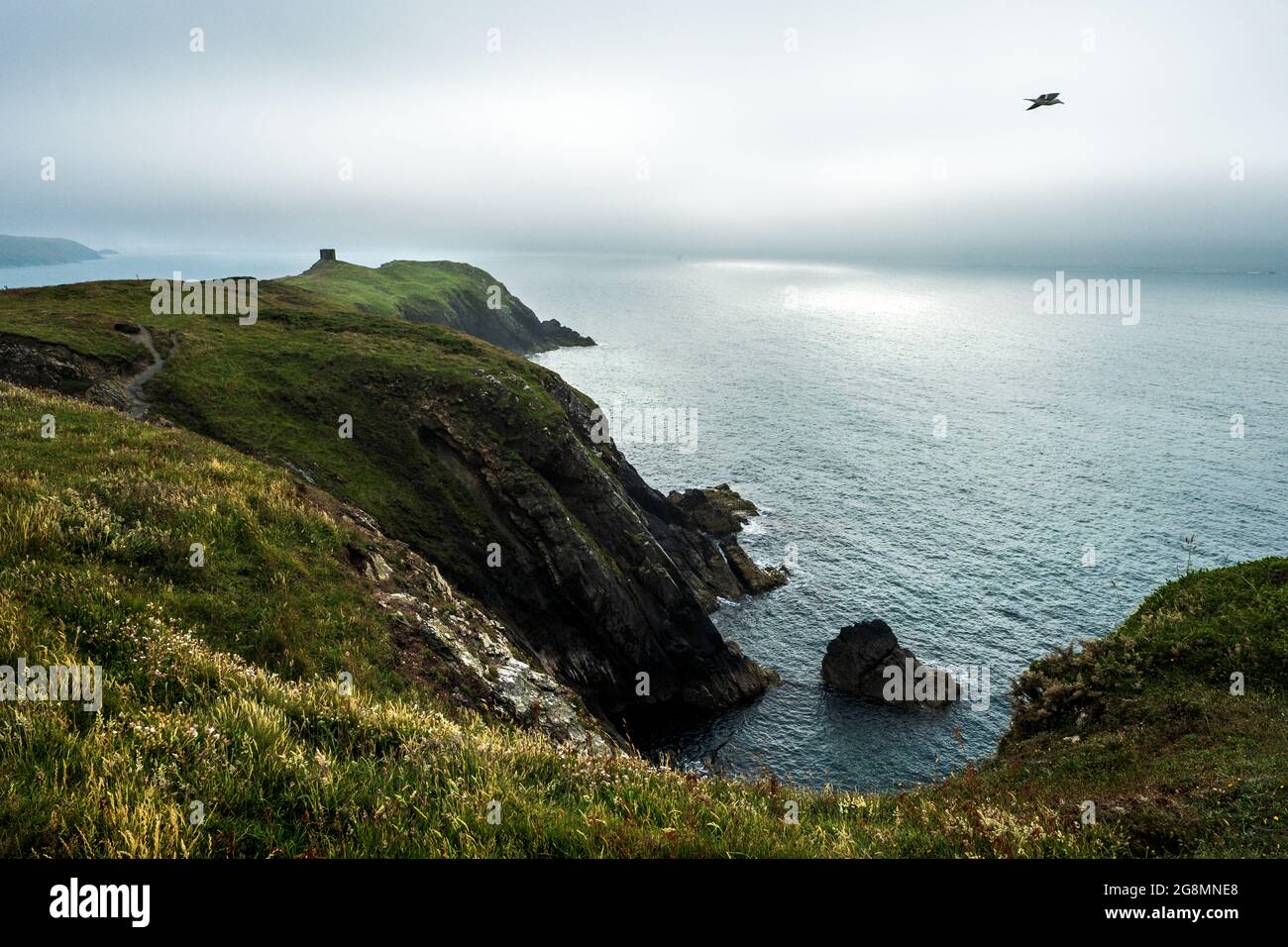 Abereiddy sulla costa del Pembrokeshire, Galles Foto Stock