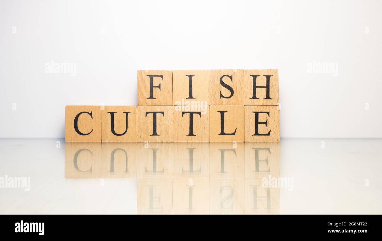 Il nome Cuttlefish è stato creato da cubetti di lettere di legno. Frutti di mare e cibo. Primo piano. Foto Stock