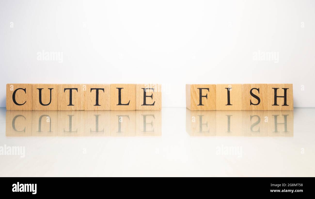 Il nome Cuttlefish è stato creato da cubetti di lettere di legno. Frutti di mare e cibo. Primo piano. Foto Stock