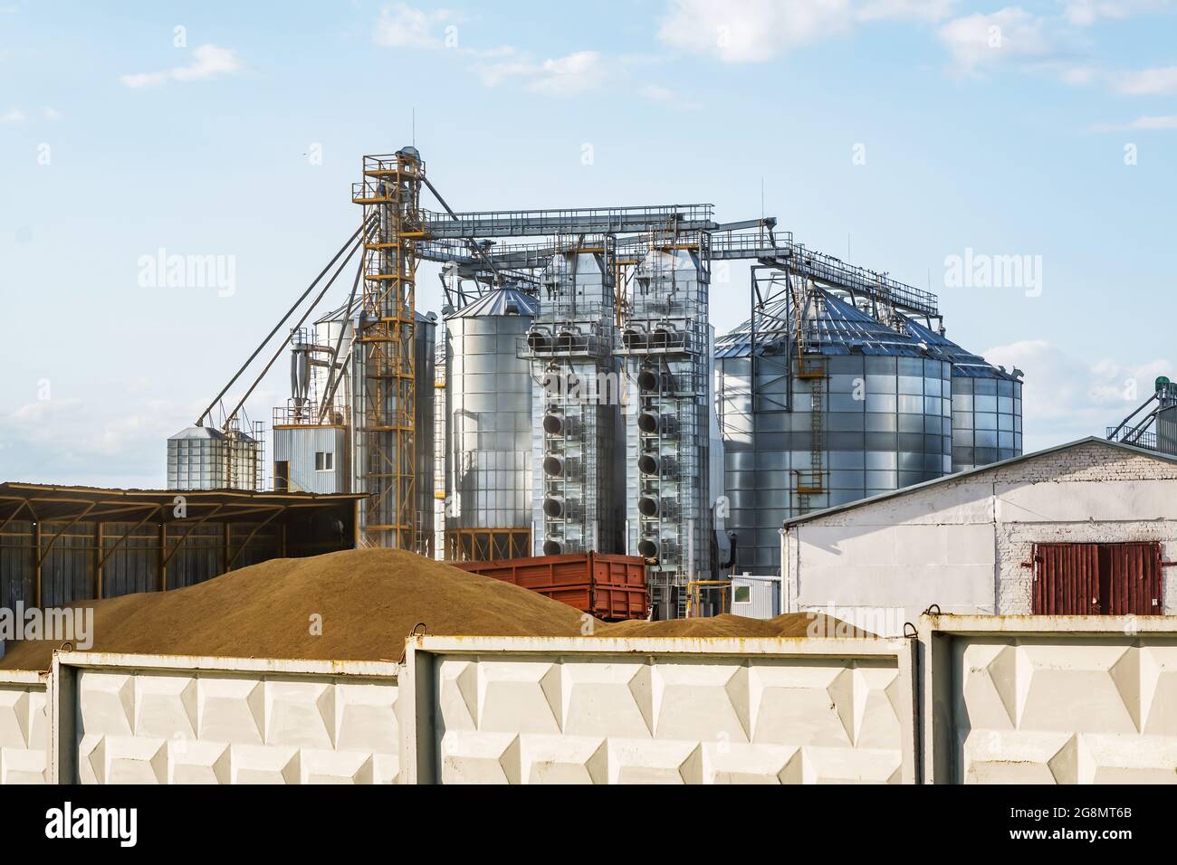 Moderno ascensore Granary e linea per la pulizia dei semi. Silos argentei su agro-processing e impianto di produzione per stoccaggio e lavorazione essiccazione pulizia di Foto Stock