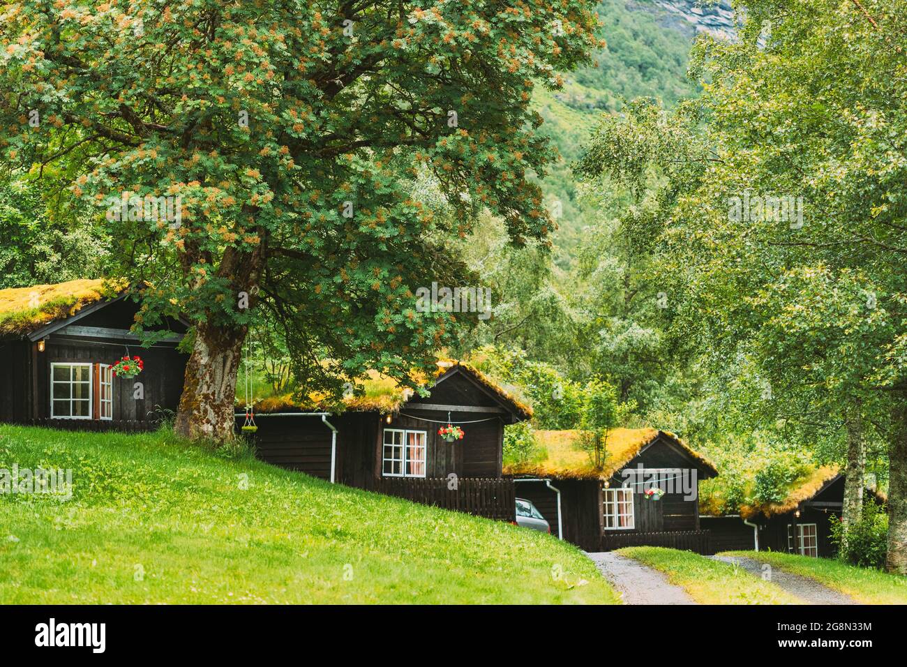 Tradizionale norvegese Case di legno vecchio con Grass crescente sul tetto. Cabine in Norvegia Foto Stock