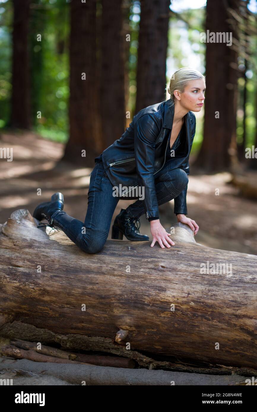 Giovane donna su grande tronco di sequoia caduto in boschetto di sequoie Foto Stock