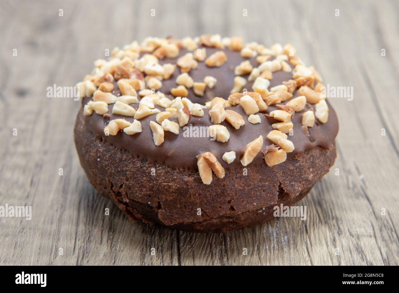 La ciambella rialzata al cioccolato è testurizzata con un rivestimento di nocciole schiacciate per una delizia dolce. Foto Stock