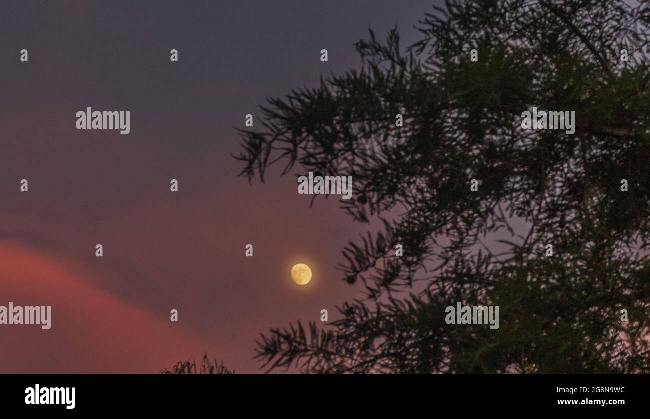 21 luglio 2021: La luna piena buck a San Diego, California il Mercoledì, 21 luglio 2021. (Credit Image: © Rishi DekaZUMA Press Wire) Foto Stock