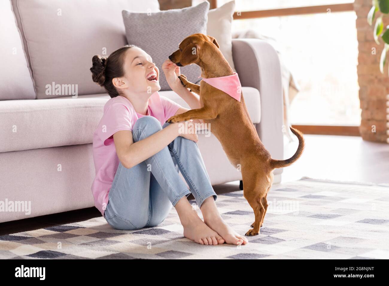 Ritratto di bella ragazza allegra seduta sul pavimento giocando con cucciolo avendo riposo divertente in casa appartamento al chiuso Foto Stock