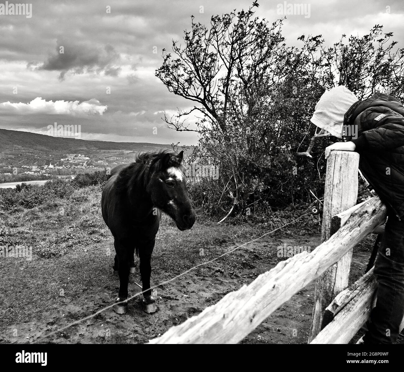 Ragazzo e il cavallo. Bella natura sfondo con cavallo in fattoria, fotografia in bianco e nero. Foto Stock