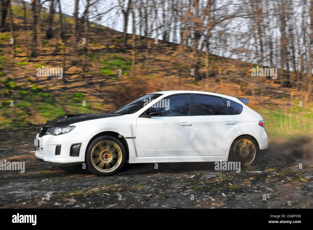 Kiev, Ucraina - 25 marzo 2015: Subaru Impreza WRX STI nel parco. Subaru in movimento. Auto giapponese su sfondo naturale Foto Stock