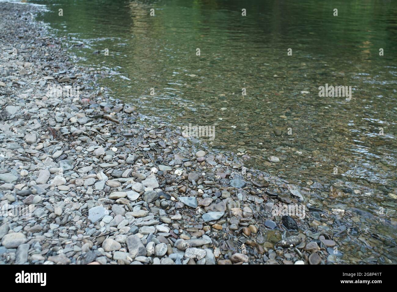 Paesaggio fluviale con ambiente naturale oltre a servire un ecosistema intatto Foto Stock