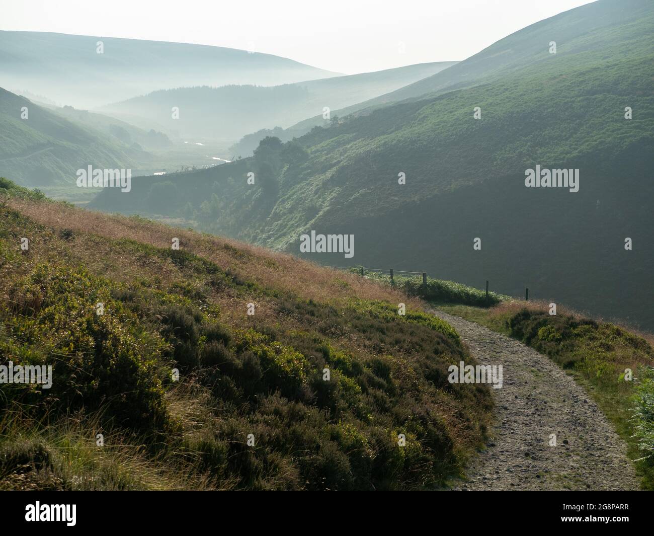 Forest of Bowland UK, Weather news. 22 luglio 2021. E' un inizio nebboso al mattino nel Lancashire, ma ancora caldo. La valle di Langden è situata nel mezzo della foresta di Bowland, un'area di straordinaria bellezza naturale con alti fossati e campane ondulate. copyright Credit: gary telford/Alamy Live News Foto Stock