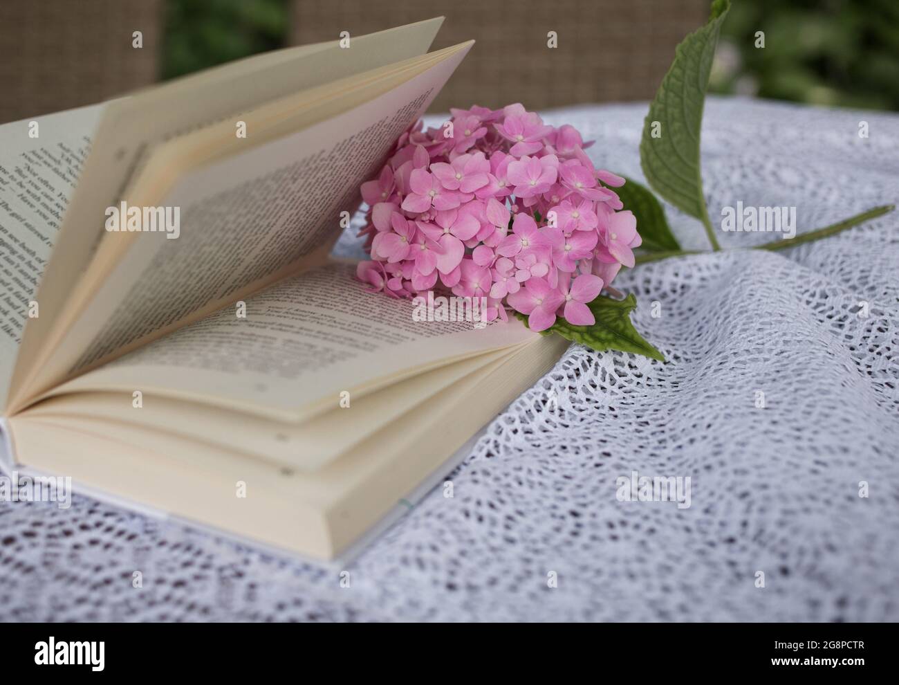 un libro aperto di poesia o prosa con un fiore rosa di idrangea giace su un  tavolo coperto da una tovaglia di pizzo bianco. atmosfera accogliente per  gli amanti della lettura Foto