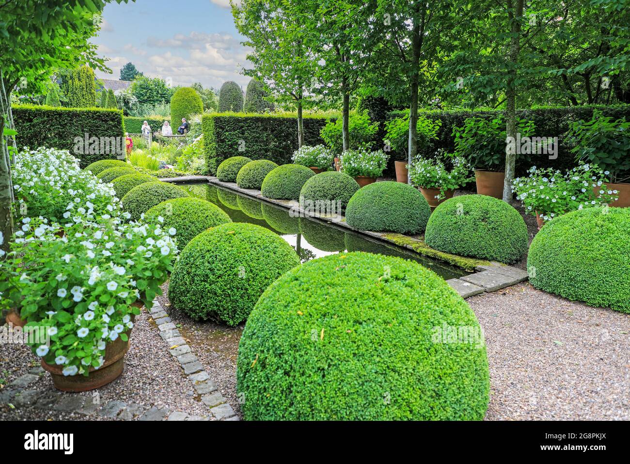 Il laghetto e il topiary al Giardino superiore di Rill a Wollerton Old Hall Gardens giardino Wollerton Market Drayton Shropshire Inghilterra Regno Unito Foto Stock