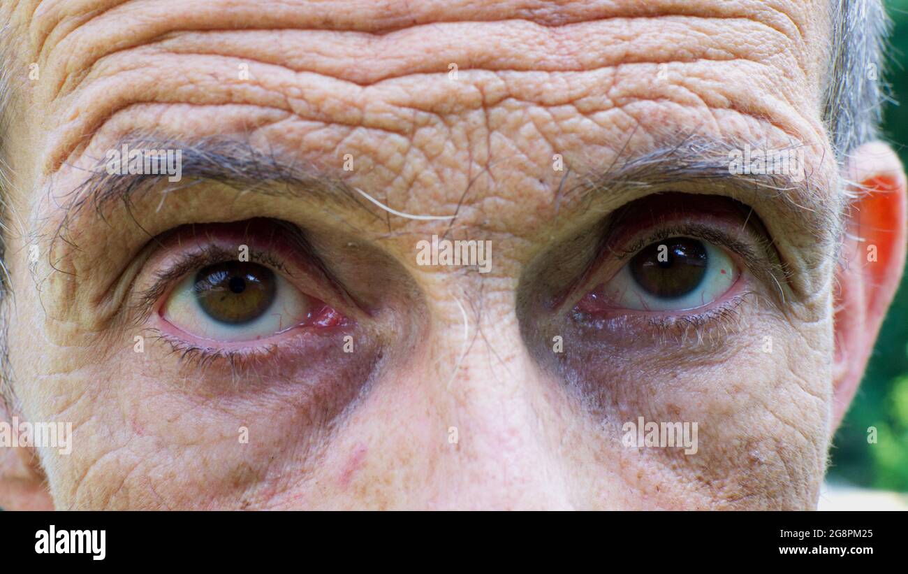 Un closeup estremo di un maschio con occhi marroni Foto Stock