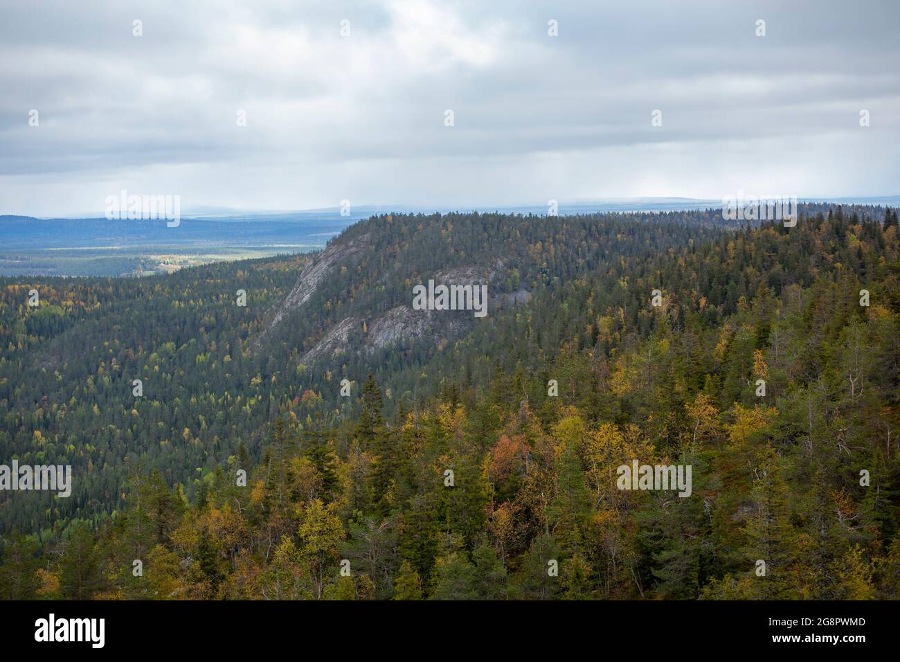 Vista del colorato paesaggio autunnale con la collina di Konttainen e la foresta colorata in autunno fogliame in primo piano. Kuusamo, Finlandia, Europa Foto Stock