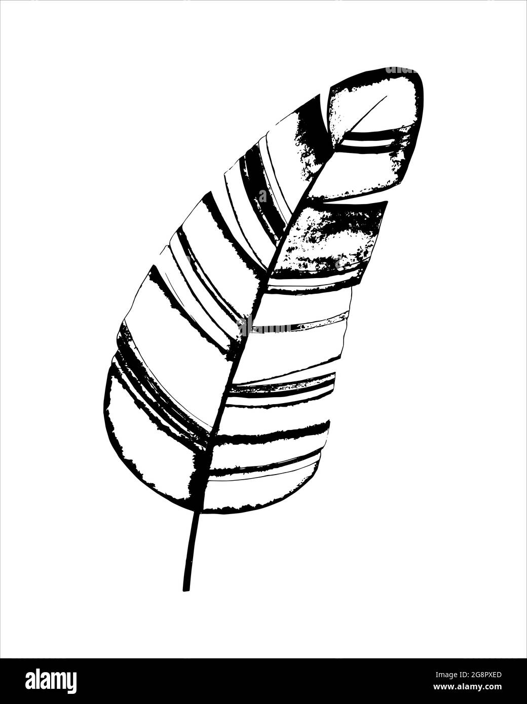 Foglia di banana tropicale, disegno a mano, grafica stilizzata, bianco nero, isolato. Illustrazione vettoriale Illustrazione Vettoriale