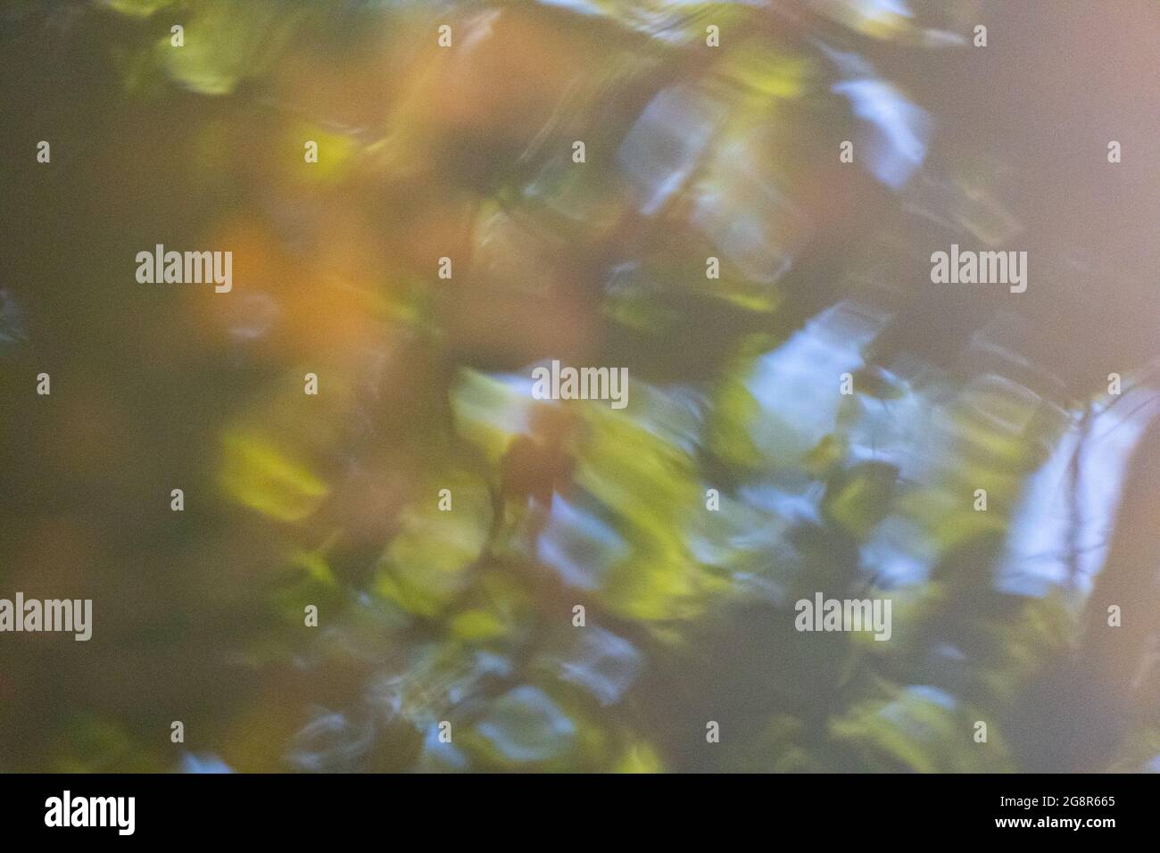 Sfondo sfocato. Soleggiato giardino estivo in morbido fuoco su sfondo verde sfocato e goccia d'acqua con filtrato. Foto di alta qualità Foto Stock