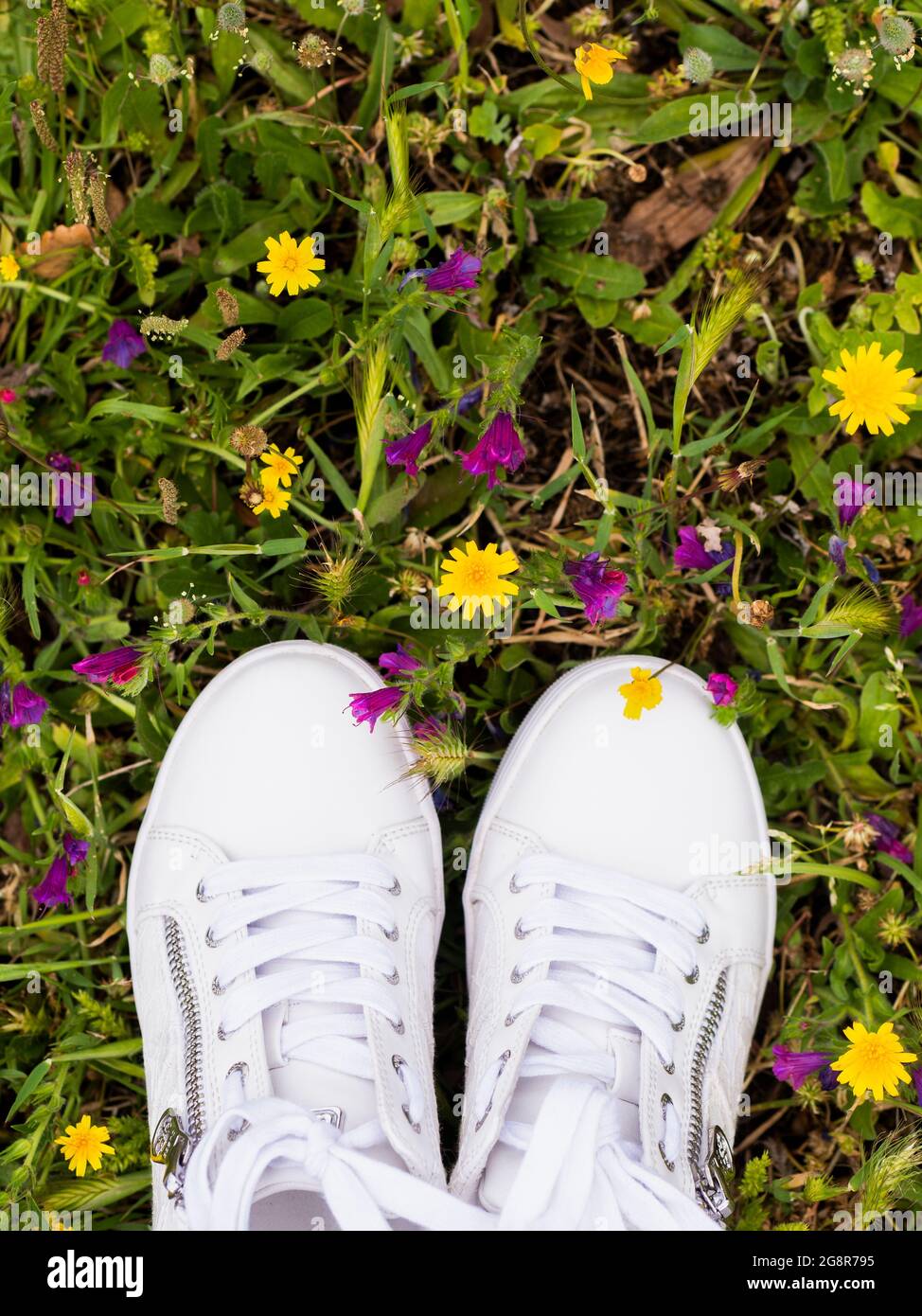 Scarpe da ginnastica bianche da donna pulite in un prato con fiori Foto Stock