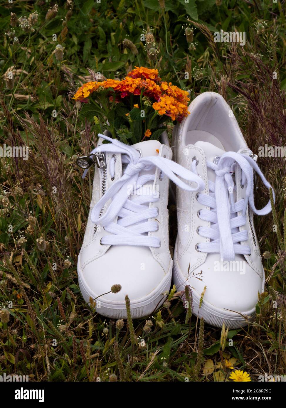 Sneakers bianche pulite da donna con un bouquet di fiori di campo Foto Stock