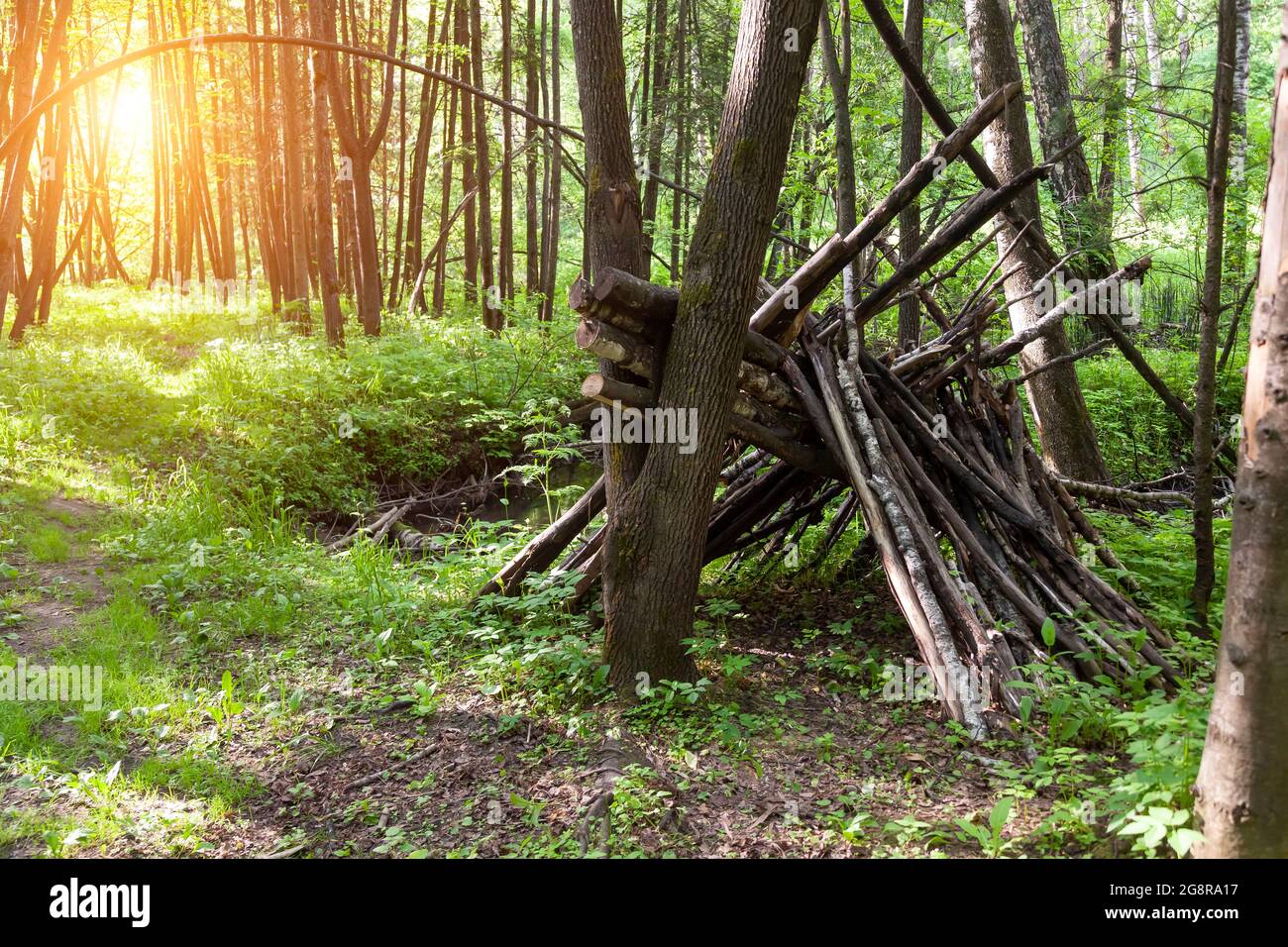 Rifugio di sopravvivenza nei boschi da rami di alberi. Riparo a forma di  cono o piramide Foto stock - Alamy