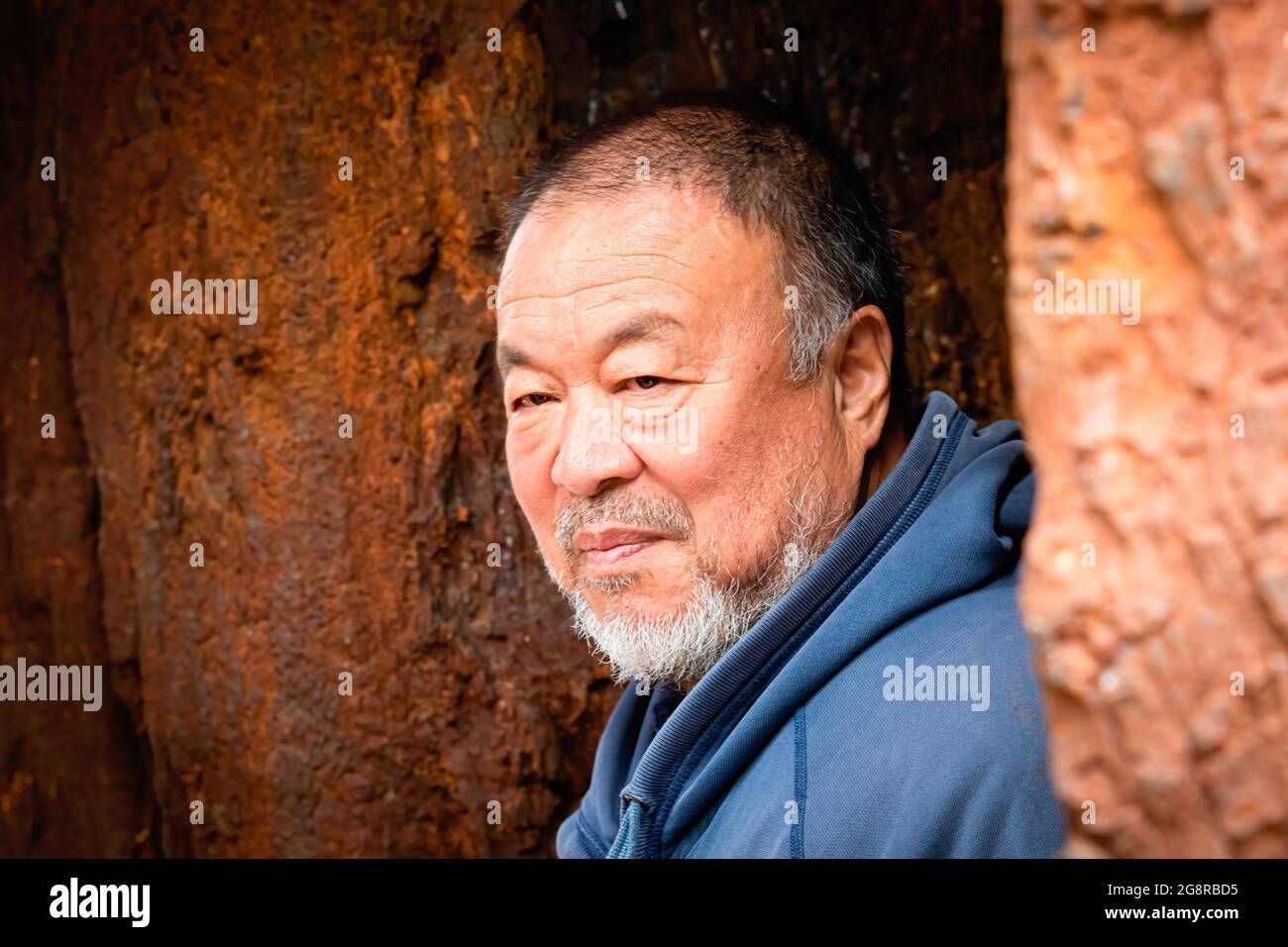 Porto, Portogallo. 22 luglio 2021. Ai Weiwei in posa per fotografi durante la mostra. Pequi Tree è una mostra di radici intrecciate e figure umane presentata da ai Weiwei, un artista cinese. La mostra si è svolta al Museo Serralves. Credit: SOPA Images Limited/Alamy Live News Foto Stock