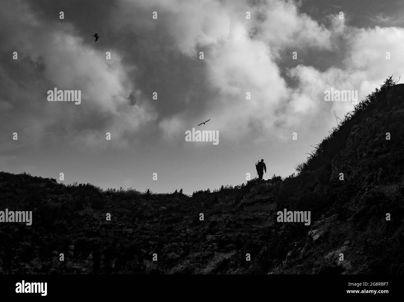 Un uomo cammina sulla collina in una compagnia di gabbiani che volano nel cielo nuvoloso - bianco e nero, spazio per il testo Foto Stock