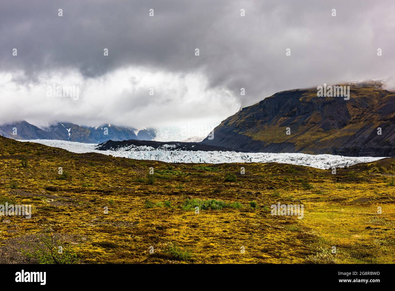 Primo piano del ghiacciaio Svinafellsjokull a Skaftafell, Islanda Foto Stock