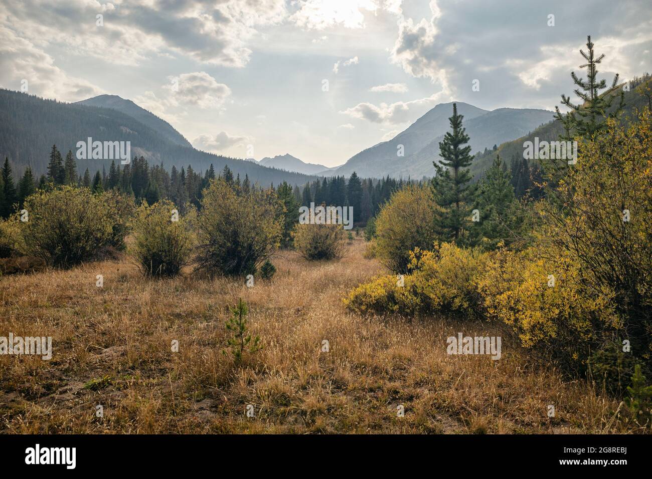 Paesaggio nel nido delle aquile deserto, Colorado Foto Stock