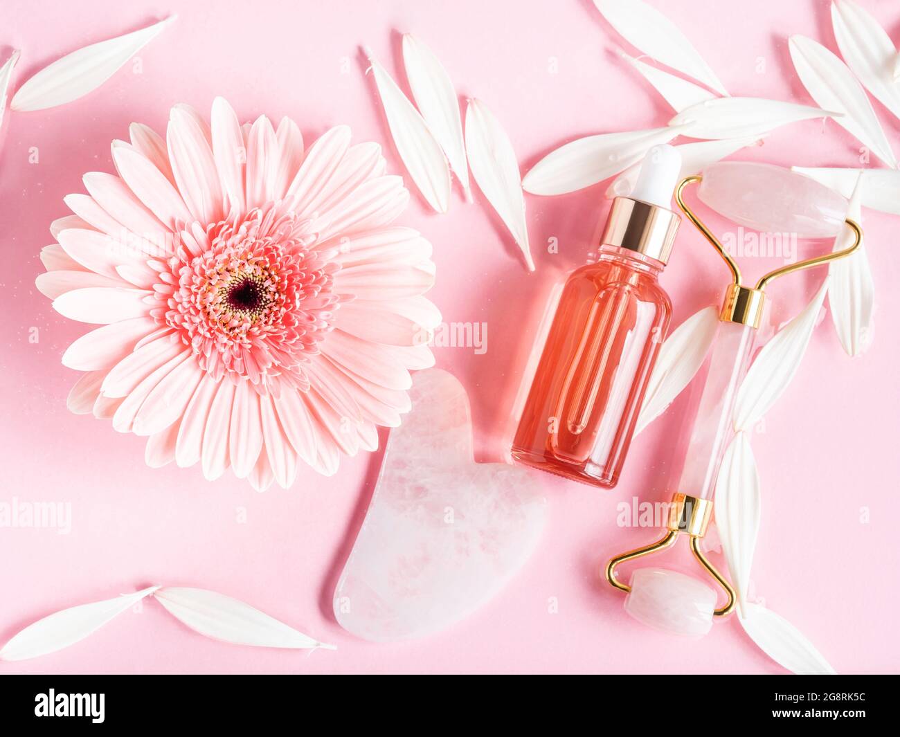 Bellezza cosmetica olio siero prodotto acido bottiglia e quarzo rullo viso guasha su sfondo rosa in acqua con margherita rosa. Cura naturale della pelle Foto Stock