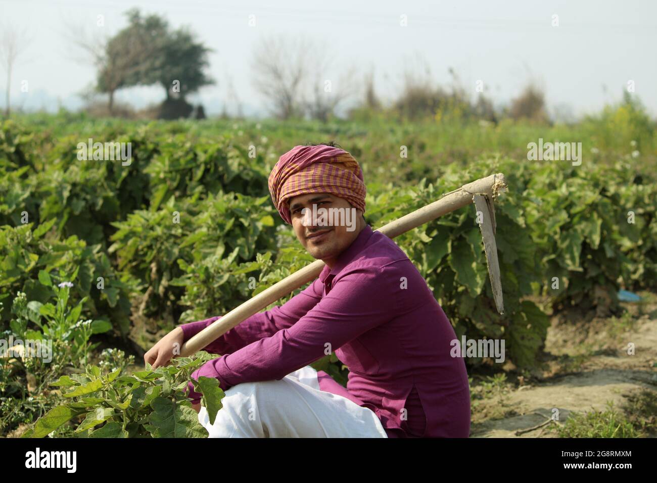 coltivatore, seduto in campo agricolo Foto Stock