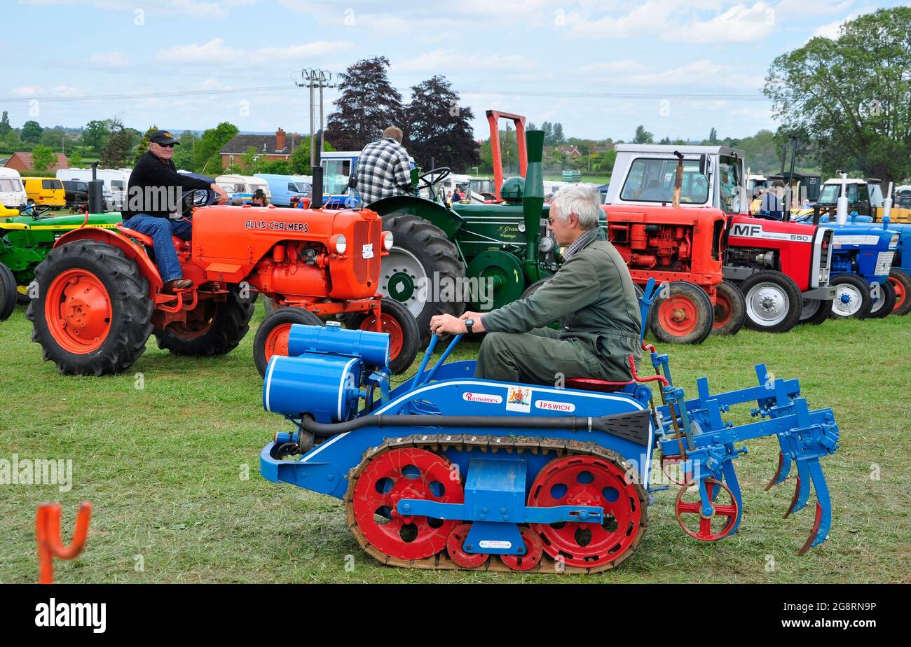 Ransomes di Ipswich MG piccolo trattore cingolato con coltivatore sul retro.utilizzato su piccole aziende agricole e stabilimenti orticoli. Davanti a una linea di v Foto Stock