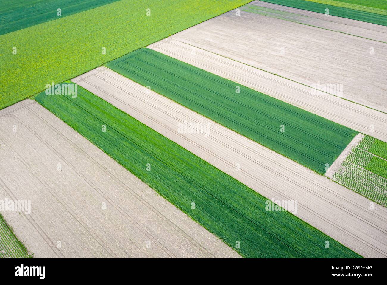 Vista aerea della zona agricola, dei campi arati e delle colture verdi giovani Foto Stock