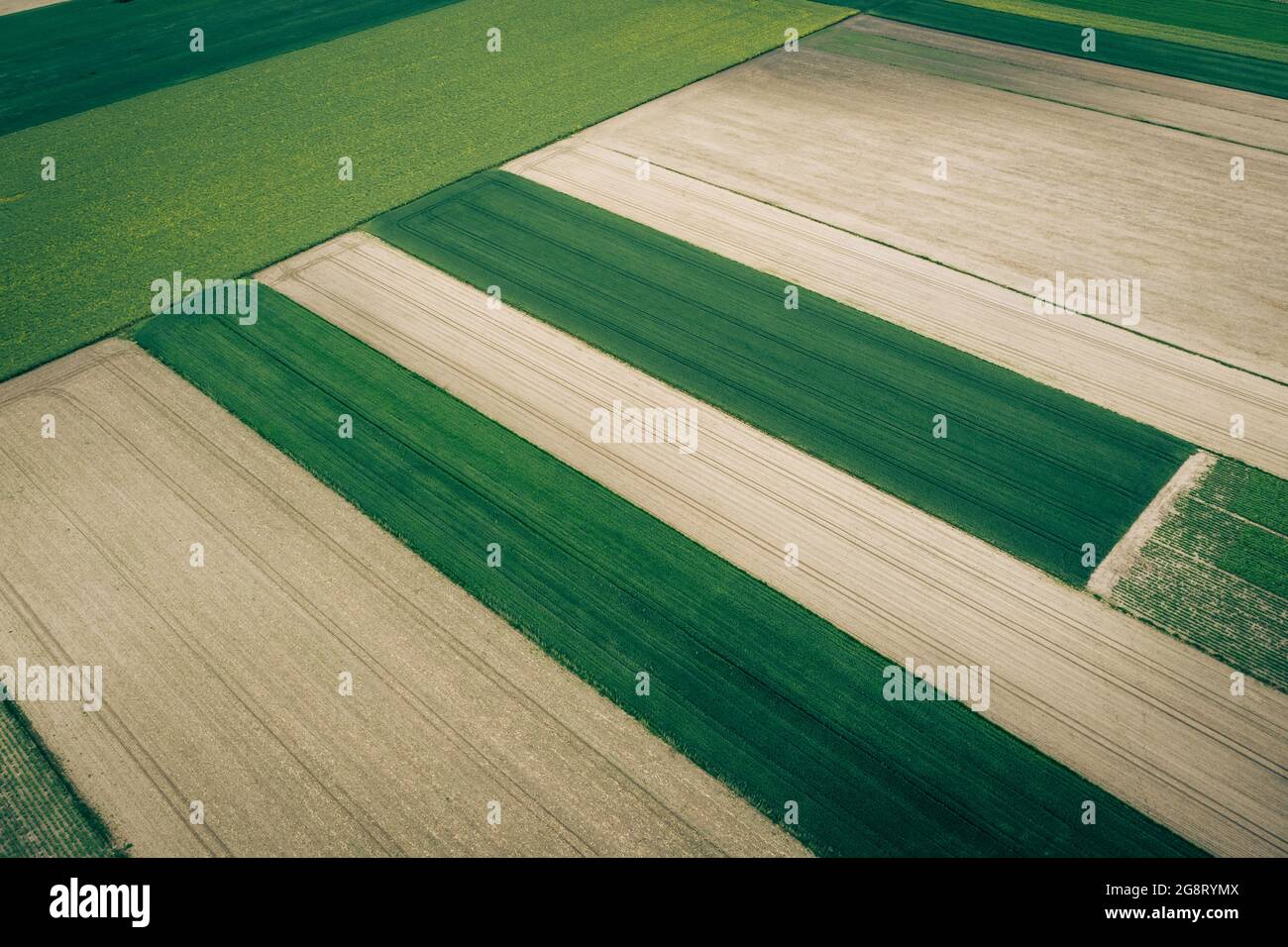 Vista aerea della zona agricola, dei campi arati e delle colture verdi giovani Foto Stock