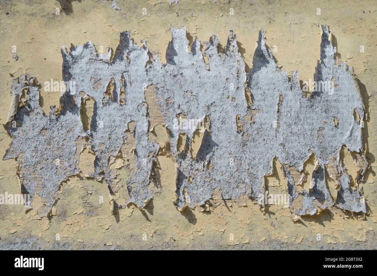 carta strappata su una parete di poster resistente agli agenti atmosferici da pressboard, trama di sfondo astratta grunge, spazio di copia, messa a fuoco selezionata, profondità di campo ridotta Foto Stock