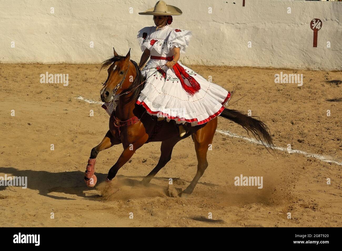 18 marzo 2017 - Merida, Yucatan, Messico. Concorso 'Escaramuza' ad un 'Lienzo Charro'. Escaramuza è una parte sportiva solo per ragazze della Charreria messicana Foto Stock