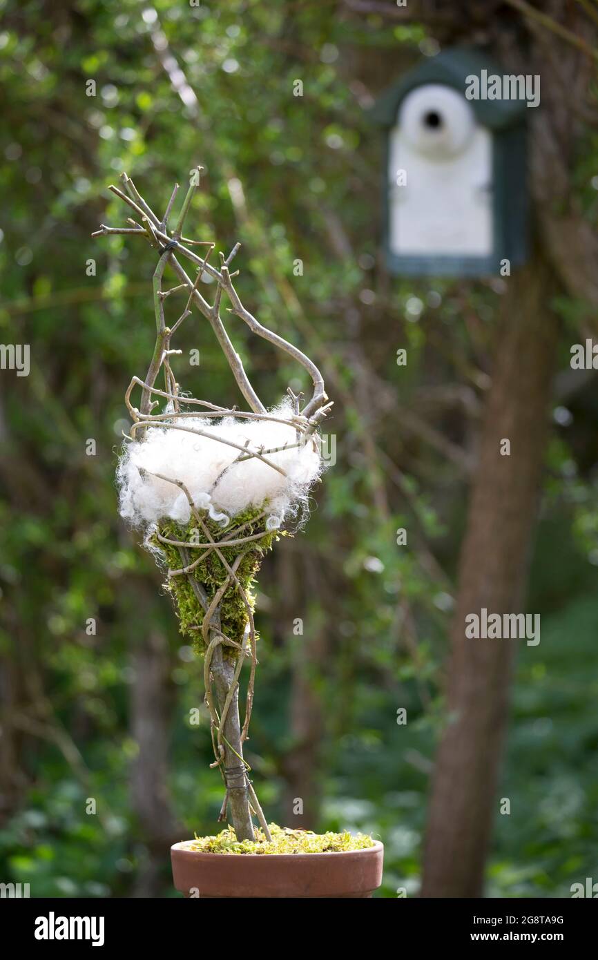 Distributore di nidificazione, uccelli in giardino sono offerti nidificazione materiale , Germania Foto Stock