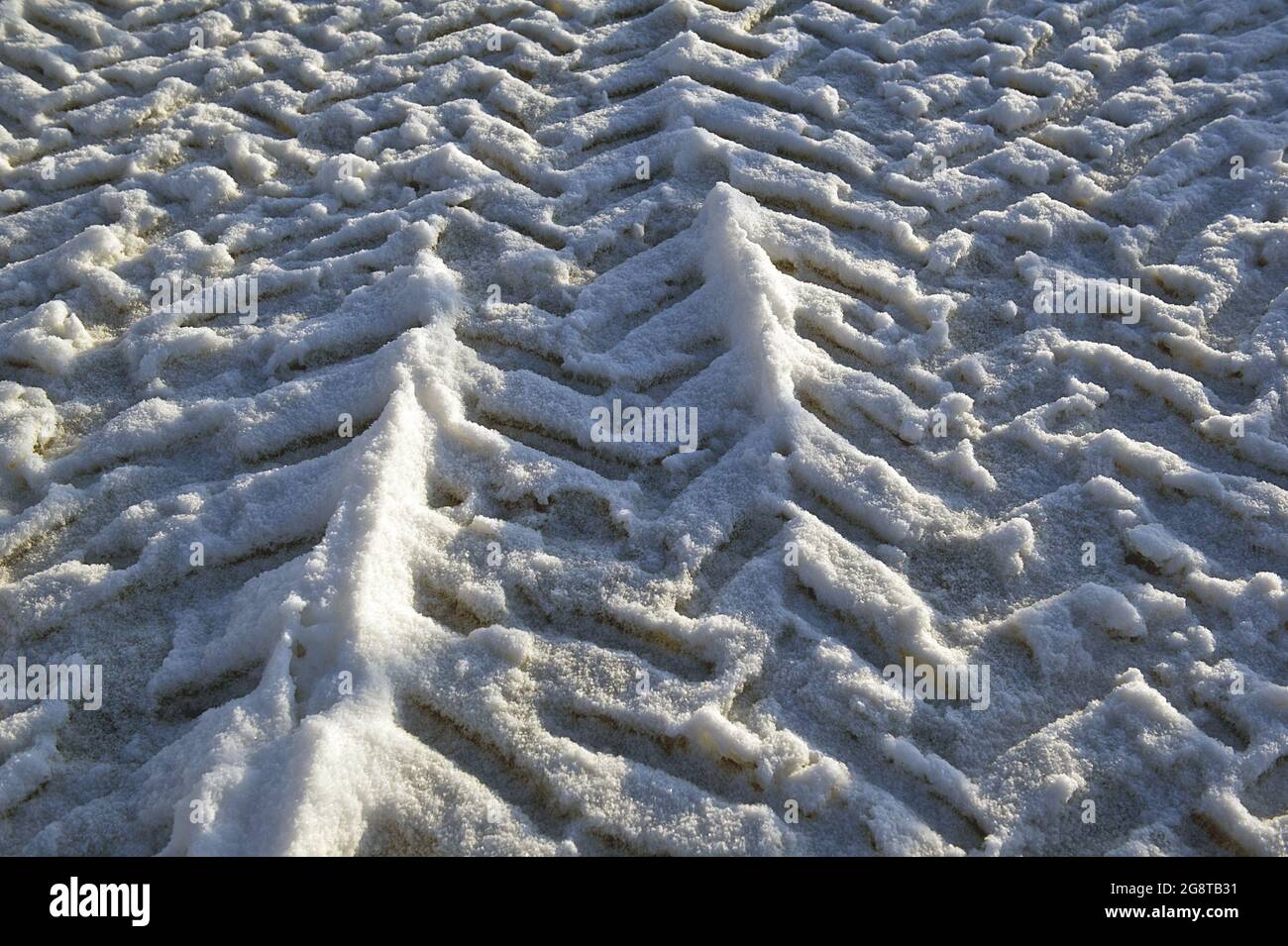 Cingoli pneumatici di un trattore nella neve, Germania Foto Stock