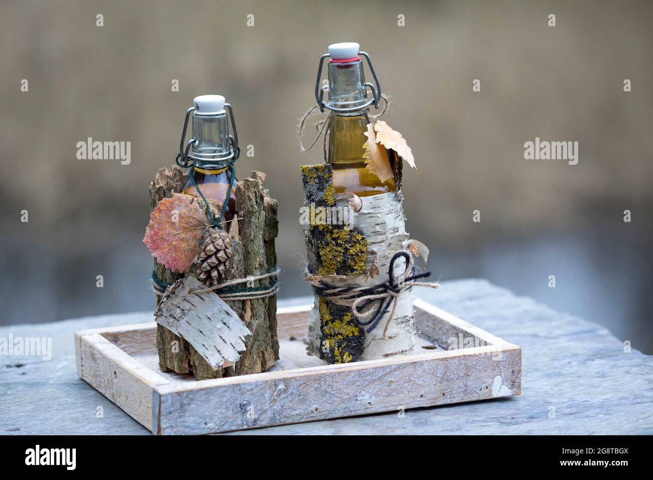 Decorazione di bottiglie con corteccia, Germania Foto Stock