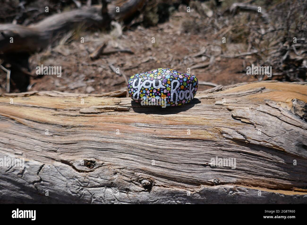 Modello di legno sul vecchio ceppo con roccia di gentilezza e dipinto Rock messaggio Foto Stock