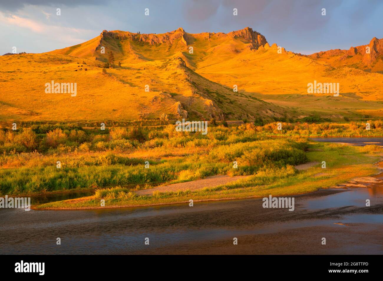 Fiume Missouri, Pelican Point pesca sito di accesso, Fiume Missouri Ricreazione Road, Montana Foto Stock