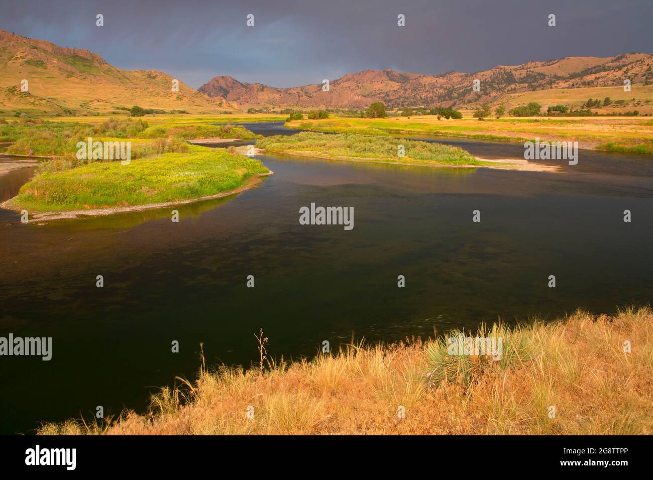 Fiume Missouri, Pelican Point pesca sito di accesso, Fiume Missouri Ricreazione Road, Montana Foto Stock