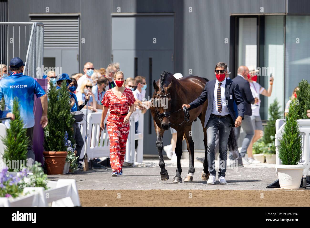 Groom Wim Verwimp e il cavallo di Alexa Fairchild's Dabanos d'O4 raffigurato durante l'ispezione a cavallo della squadra di dressage belga prima dell'olym 'Tokyo 2020 Foto Stock